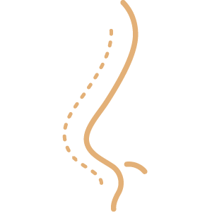 Dental Care