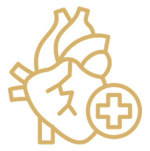 Cardiology
